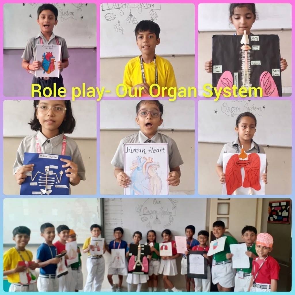 Our Organ System 19 Aug